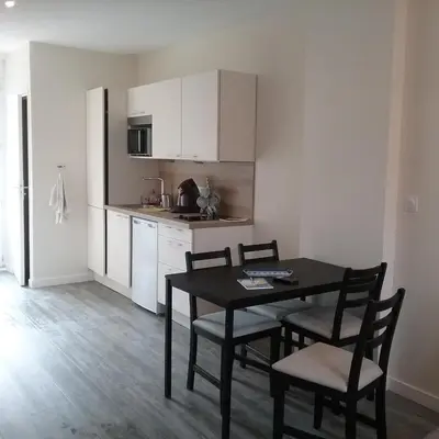 Cuisine ou kitchenette dans l'établissement Studio