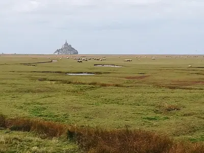 Paysage naturel près de l'hôtel