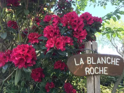 Jardin de l'établissement La Blanche Roche