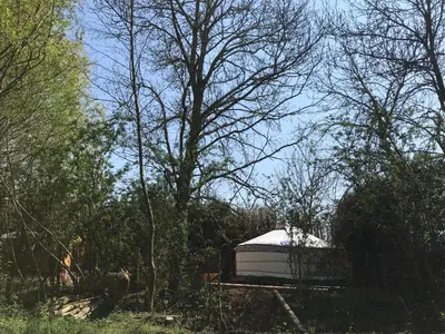 Jardin de l'établissement yourte Coeur de Combray