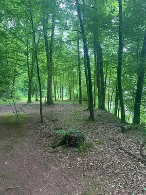 Paysage naturel près de l'appartement