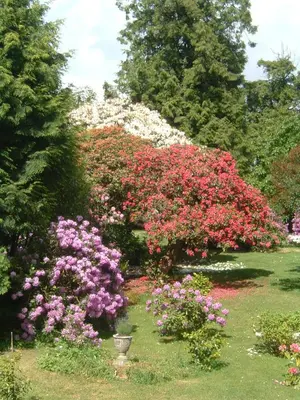 Jardin de l'établissement Bruce Castle