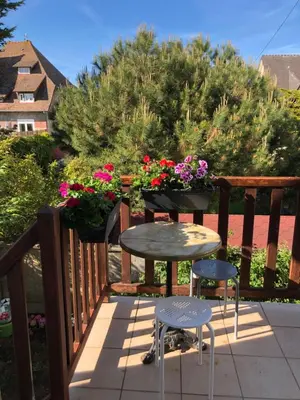 Vue générale sur la montagne ou vue sur la montagne depuis la maison de vacances