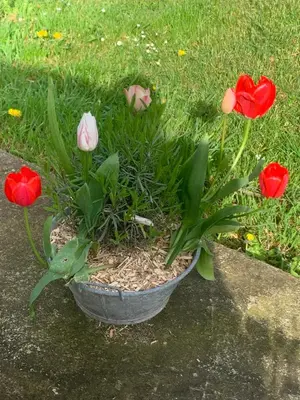 Jardin de l'établissement Gite de la Huberderie