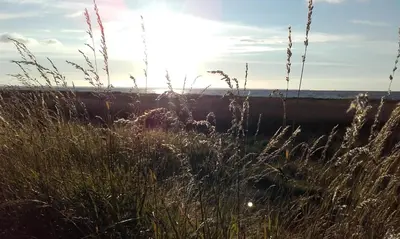 Paysage naturel près de la maison de vacances