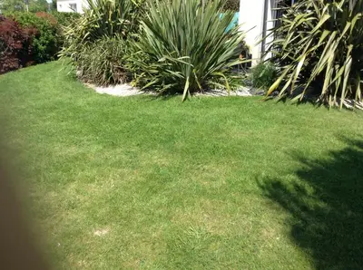 Jardin de l'établissement chambres chez Brigitte et Patrick près du Mont st Michel