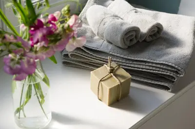 Plan de l'établissement Appartement vue port
