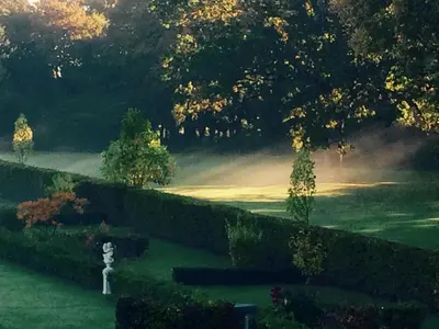 Jardin de l'établissement Château de La Ferrière