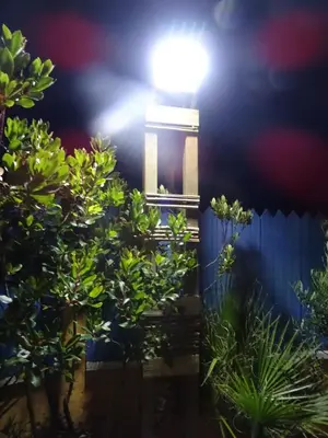 Jardin de l'établissement Gîte 