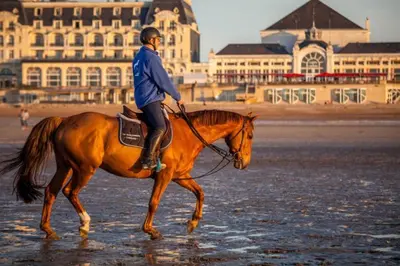 Animaux dans l'appartement ou à proximité