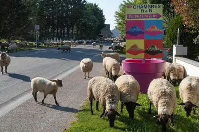 Animaux dans le B&B/chambre d'hôtes ou à proximité