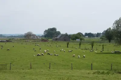 Animaux dans le B&B/chambre d'hôtes ou à proximité