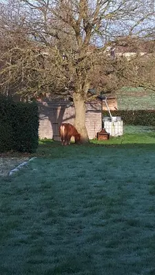 Jardin de l'établissement Gîte LES CHANTS DU CREPUSCULE