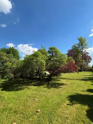 Paysage naturel près de la maison de vacances
