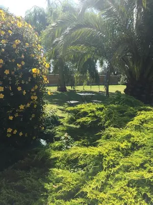 Jardin de l'établissement Côté jardin des Charmilles