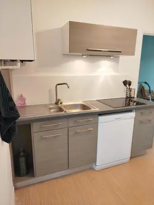 Cuisine ou kitchenette dans l'établissement Gîte 