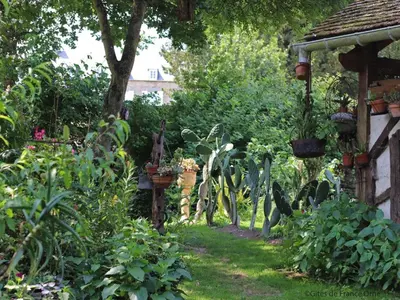 Jardin de l'établissement Maison historique du 15ème siècle avec jardin à La Carneille - FR-1-497-135