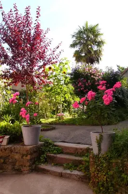 Jardin de l'établissement Villa Mons