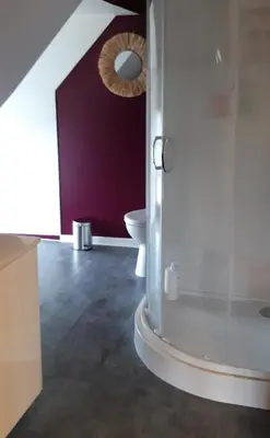 Salle de bains dans l'établissement LE CHALET SUISSE - Chambre papillons