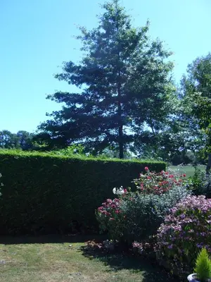 Jardin de l'établissement Ferme de Dauval