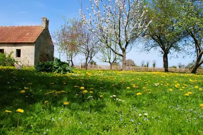 Jardin de l'établissement Gites Les Rainettes