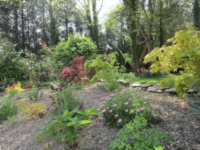 Jardin de l'établissement L'Anctovillière