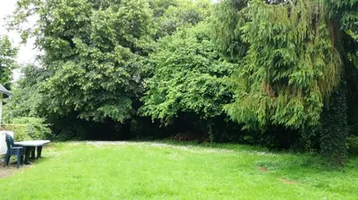 Jardin de l'établissement Maison cosy à Pontorson avec jardin clos et terrasse