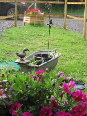 Jardin de l'établissement gite Marlotte