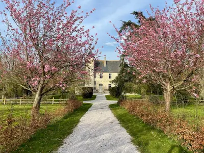 Jardin de l'établissement CHATEAU DE MONFREVILLE
