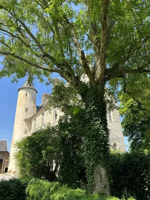 Plan de l'établissement CHATEAU DE MONFREVILLE