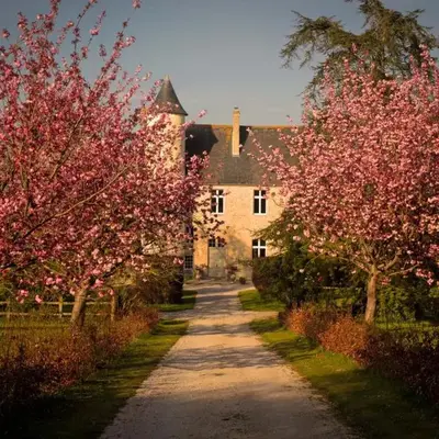CHATEAU DE MONFREVILLE