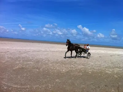 Plage de la maison de vacances ou située à proximité