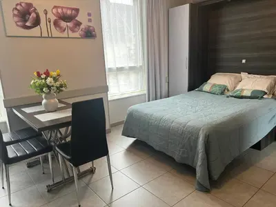 Un ou plusieurs lits dans un hébergement de l'établissement Studio charmant à La Ferrière-aux-Étangs, 27 m², avec Spa