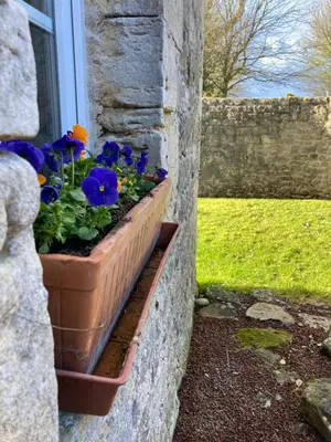 Jardin de l'établissement Maison 2 chambres avec espace extérieur privé et petit-déjeuner en supplément - fait-maison et produits locaux