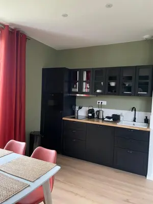 Cuisine ou kitchenette dans l'établissement Villa saint Louis 3