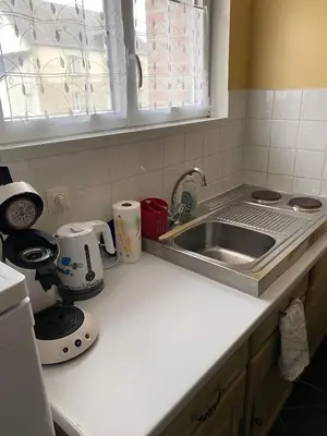 Cuisine ou kitchenette dans l'établissement Gîte à la campagne 1
