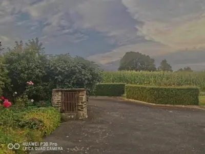 Jardin de l'établissement L'oscar