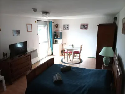 Télévision ou salle de divertissement dans l'établissement La Baronnerie