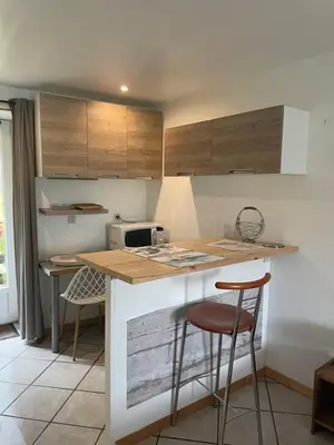 Cuisine ou kitchenette dans l'établissement Studio indépendant avec jardin privatif