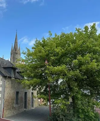 Plan de l'établissement Auprès de mon arbre