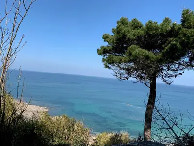Paysage naturel près de la maison de vacances
