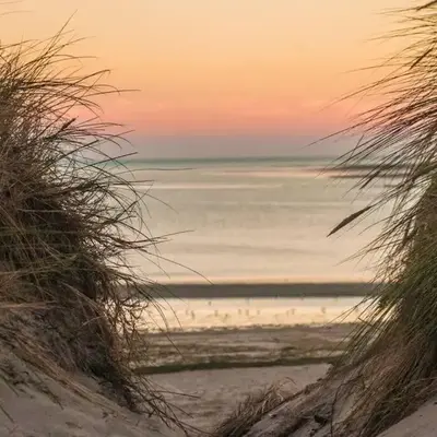 Gite au pied des dunes