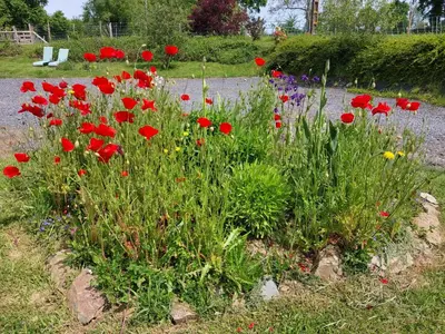 Jardin de l'établissement Gite de la Motte