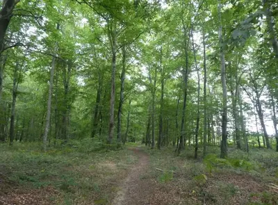 Paysage naturel près de la maison de vacances