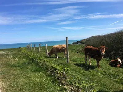 Paysage naturel près de l'appartement