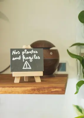 Plan de l'établissement La Kanopée - Les Loges Normandes