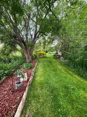 Jardin de l'établissement Les 2 gites des Chambres de Capucine