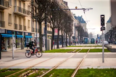 Vélo sur le terrain de l'établissement Logis Hotel Du Chateau ou dans les environs