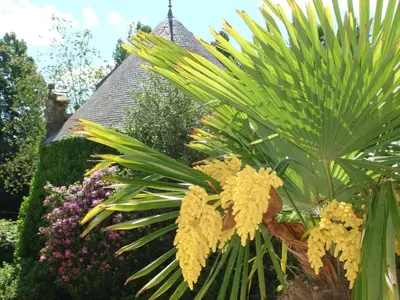 Jardin de l'établissement Chateau Le Val