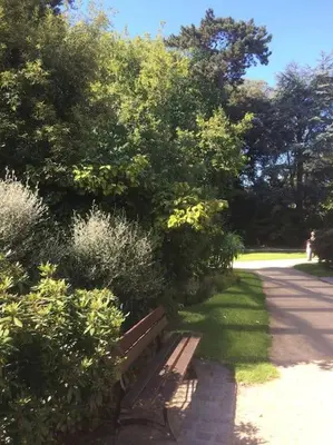 Jardin de l'établissement Sweetie Flat